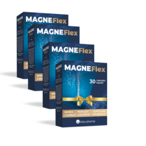 Magneflex 3+1