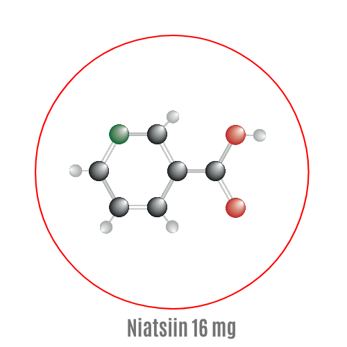 Niatsiini näidismudel