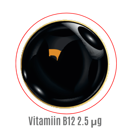 Vitamiin B12 näidis ikoon