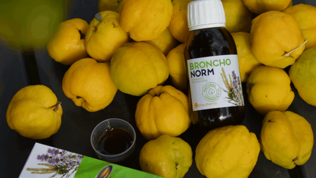 Küdoonia viljad ja Bronchonorm palsami pudel