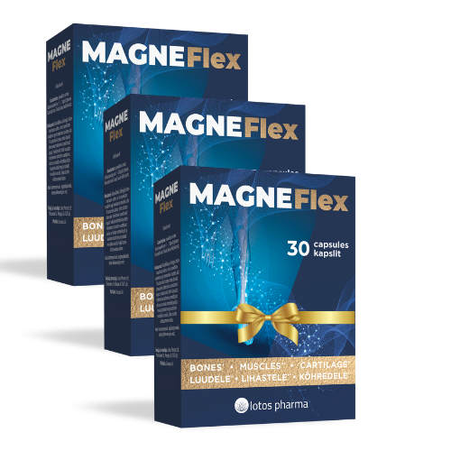Toidulisandi Magneflex 2+1 pakkumine