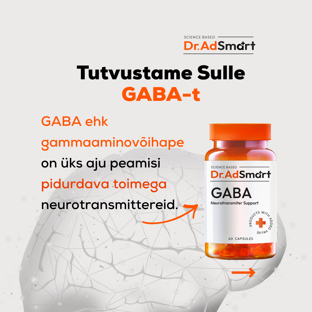 Gaba ehk gammaaminovõihape