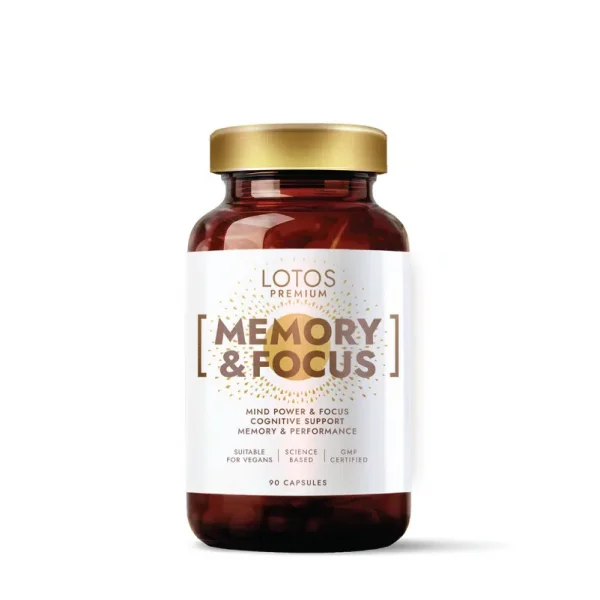 Memory & Focus toidulisand